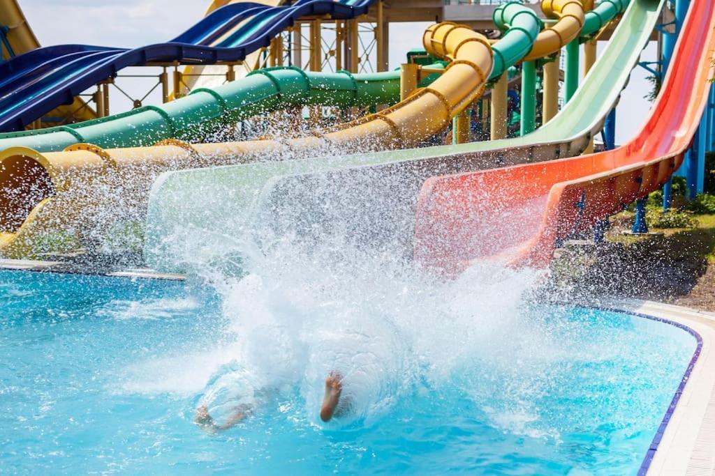 Cavalo Preto Premium Stays كوارتيرا المظهر الخارجي الصورة